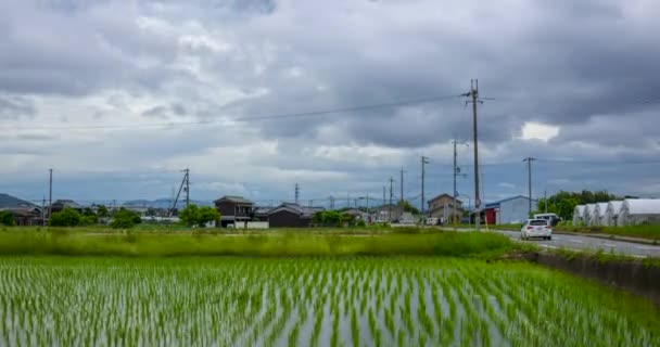 Nubes oscuras se mueven sobre el campo de arroz recién plantado antes de la lluvia a lo largo del camino — Vídeo de stock
