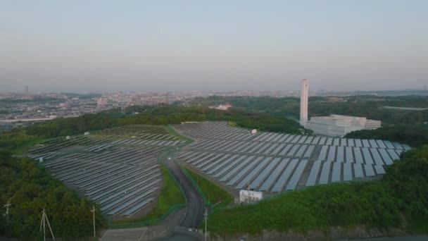 Luftaufnahme Anflug Auf Eine Reihe Von Modulen Auf Einem Solarpark — Stockvideo