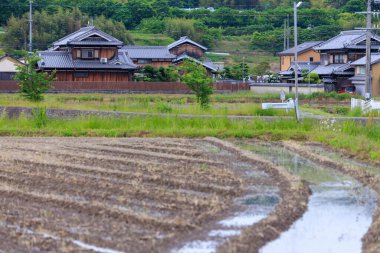 Geleneksel Japon çiftlik evlerinin yanındaki ekilmemiş tarlaların arasında su var. Yüksek kalite fotoğraf