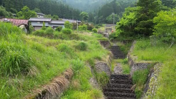 Salire Ciottoli Torrente Piccolo Villaggio Nelle Montagne Del Giappone Filmati — Video Stock