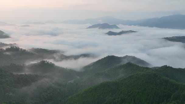 日出时分飞越大雾和薄雾环绕着武田城堡 高质量的4K镜头 — 图库视频影像
