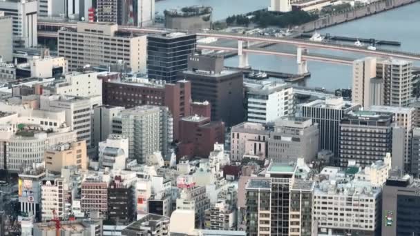 Movimento Aéreo Sobre Edifícios Densos Cidade Ponte Sobre Rio Imagens — Vídeo de Stock