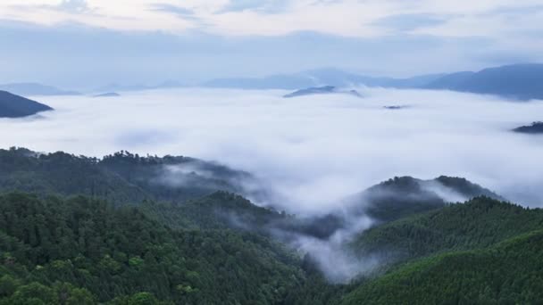 古代武田城跡周辺の緑の山の峰を覆う夜明け霧 高品質4K映像 — ストック動画