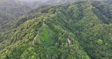 Yeşil Orman 'daki üstgeçit manzaralı çapa. Rokko. Yüksek kalite 4k görüntü