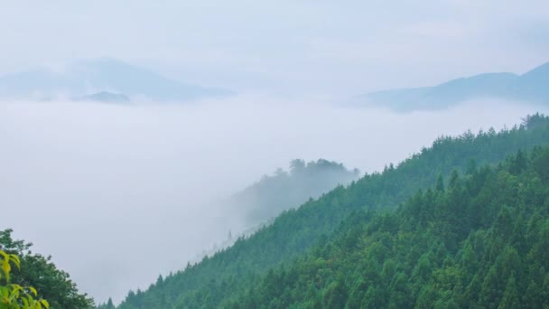 山頂を流れる霧と武田城跡の時間経過 高品質4K映像 — ストック動画