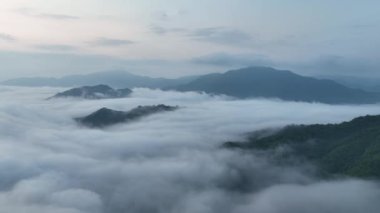 Şafak vakti sis denizi ile çevrili Takeda Kalesi 'ne hava saldırısı. Yüksek kalite 4k görüntü