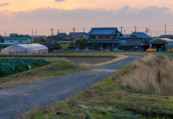 Road Leads Large Japanese Family Home Fields Greenhouse Farming Village — Stockfoto