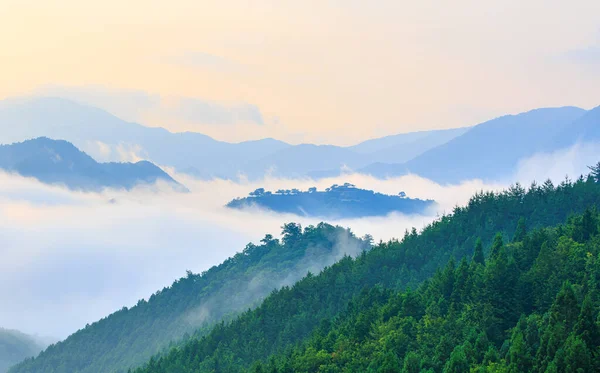 Heavy Fog Mist Surrounds Forested Mountain Peaks Dawn High Quality — Photo