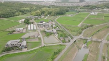 Kırsal bölgeler ve pirinç tarlaları etrafında dönüyor. Yüksek kalite 4k görüntü