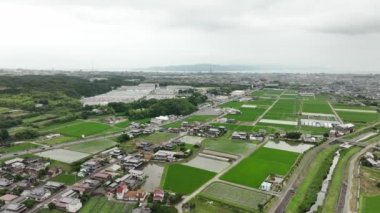 Pirinç tarlaları ve kasabanın kıyısındaki küçük bir mahalle üzerinde yavaş bir hareket. Yüksek kalite 4k görüntü