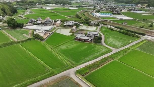 Aerial Move Large Country House Neighborhood Next Rice Fields High — Video Stock