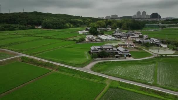 Rise over large house and small farming community next to rice fields. High quality 4k footage
