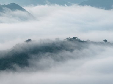 Tarihsel Takeda Kalesi, yoğun siste dağların tepesinde harabeye döndü. Yüksek kalite fotoğraf