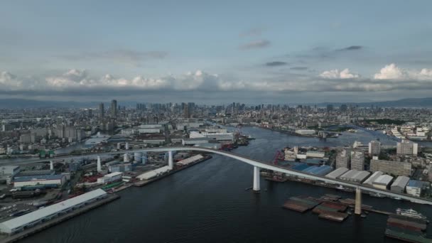 Aerial Rotation Bridge Sprawling Cityscape High Quality Footage — Wideo stockowe