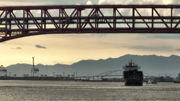 Cargo Ship Sails Bridge Traffic Late Afternoon Sun High Quality — Stockvideo