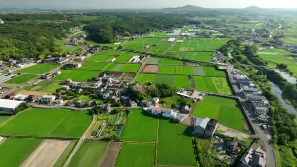 Flyover Fields Farms Next Small Community Sunny Morning High Quality — 비디오