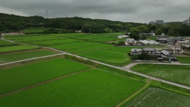 Pullback Large House Next Rice Fields Cloudy Day High Quality — Video Stock