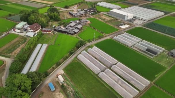 Rotating Small Farming Community Greenhouses Rice Fields High Quality Footage — Stock video