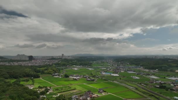 Dropping Rural Neighborhood Rice Fields Cloudy Day High Quality Footage — Video