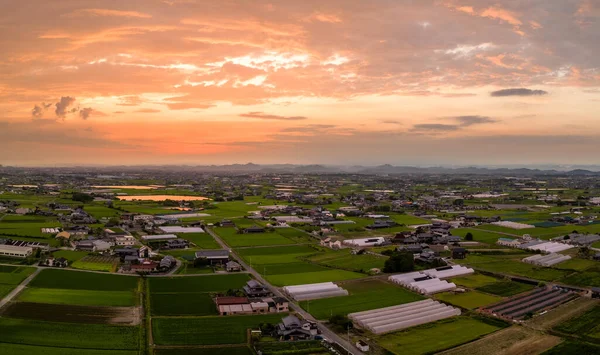 Panoramic Aerial View Rice Fields Greenhouses Sunset High Quality Photo — Photo