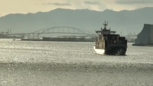 Late Afternoon Sun Hits Fully Loaded Cargo Ship Entering Industrial — Stok video