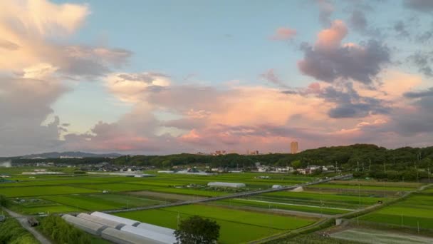 Hyperlapse Dramatic Clouds Move Rice Fields Suburbs Sunset High Quality — ストック動画