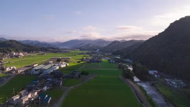 Hyperlapse Rice Fields Next River Rural Village Clouds Move Distant — Stockvideo