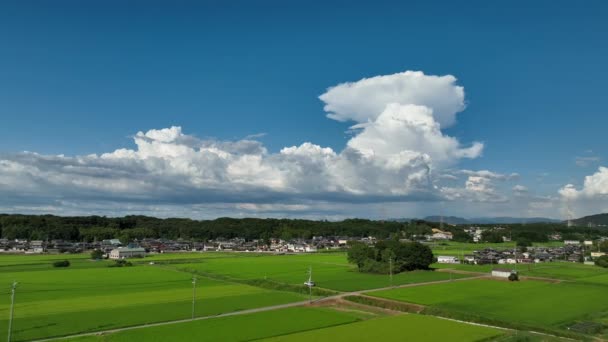 Towering Puffy White Clouds Beautiful Green Country Landscape High Quality — Video Stock