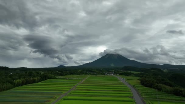 Flying Green Rice Fields Foot Daisen Cloudy Day High Quality — 图库视频影像