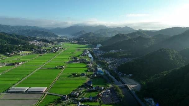 Early Morning Sun Shines Mountains Small Village Rice Fields High — Stockvideo