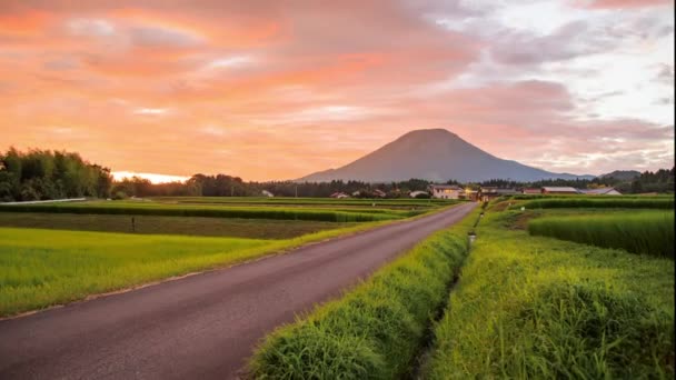 Timelapse Road Terraced Rice Fields Leads Daisen Sunrise High Quality — Αρχείο Βίντεο