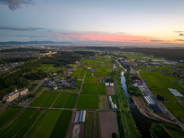 Aerial View Small River Rice Fields Sunset High Quality Footage — Zdjęcie stockowe