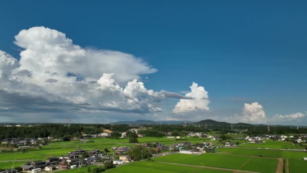 Line Towering Cumulous Clouds Quiet Rural Neighborhood Landscape High Quality — Wideo stockowe