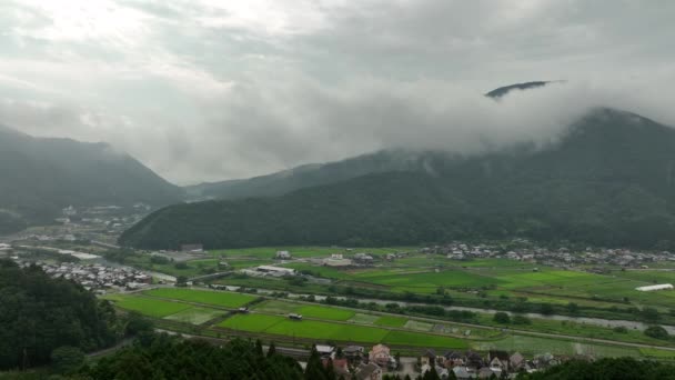 Aerial Move Green Rice Fields River Misty Mountain High Quality — 图库视频影像