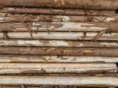 Stack of rough cut logs with loose bark. High quality photo