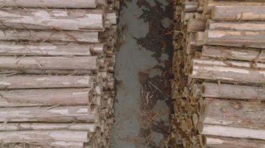 Stacks of large logs await delivery to processing mill in outdoor storage yard. High quality 4k footage
