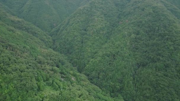 Flyover Forested Valley Mountain Landscape High Quality Footage — Vídeo de Stock