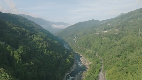 Летючи Високо Над Річкою Через Зелені Лісисті Гори Сонячний Ранок — стокове відео