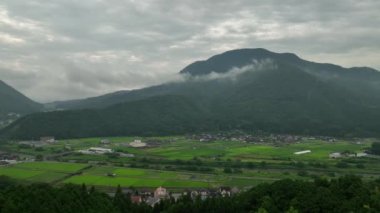 Slow move over green rice fields in countryside towards misty mountain. High quality 4k footage