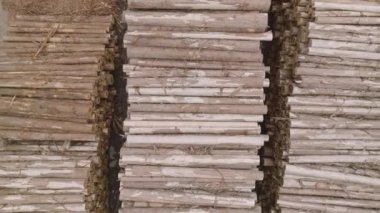 Rise up over stacks of rough cut logs at outdoor lumberyard. High quality 4k footage