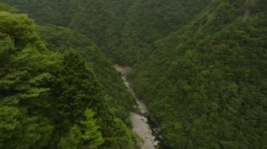 Aerial view of steep forested canyon and small mountain river. High quality 4k footage