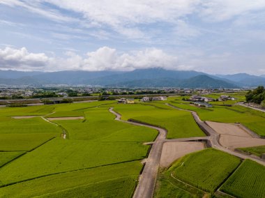 Aerial view of terraced rice fields in rural landscape on sunny day. High quality photo