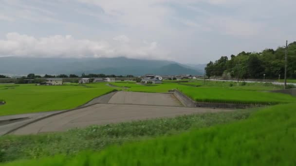 Low Slide Terraced Rice Fields Rural Landscape Sunny Day High — Stock videók