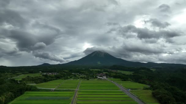 Terraced Rice Fields Food Daisen Tottori Japan Cloudy Day High — Stock video