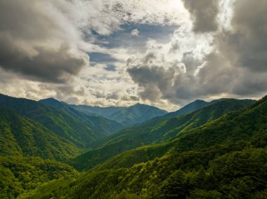Rain clouds close in on forested valley in high mountains. High quality photo
