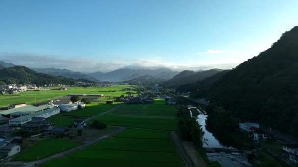 Flying Shadow Rice Fields Morning Sun Shines Mountains High Quality — Stockvideo