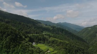 Pullback on terraced rice fields in forested mountains on sunny day. High quality 4k footage