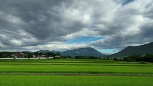 Green Terraced Rice Fields Daisen Foothills Rural Tottori High Quality — Αρχείο Βίντεο