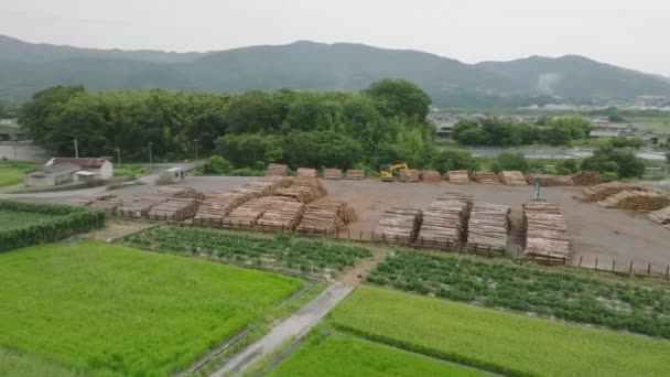 在农村的稻田和小城镇旁边堆满了木柴 高质量的4K镜头 — 图库视频影像