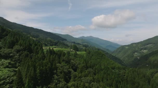 Πετώντας Προς Ορυζώνες Μικρό Ξέφωτο Δασώδη Οροσειρά Υψηλής Ποιότητας Πλάνα — Αρχείο Βίντεο